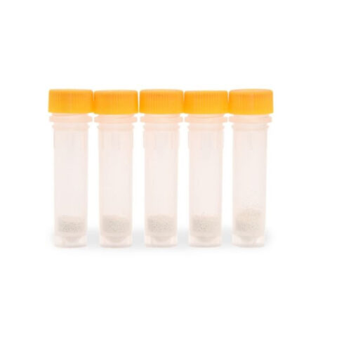 Probówka żółta (drożdże) 2ml DNase/RNase free zirconium opak. 100 szt.